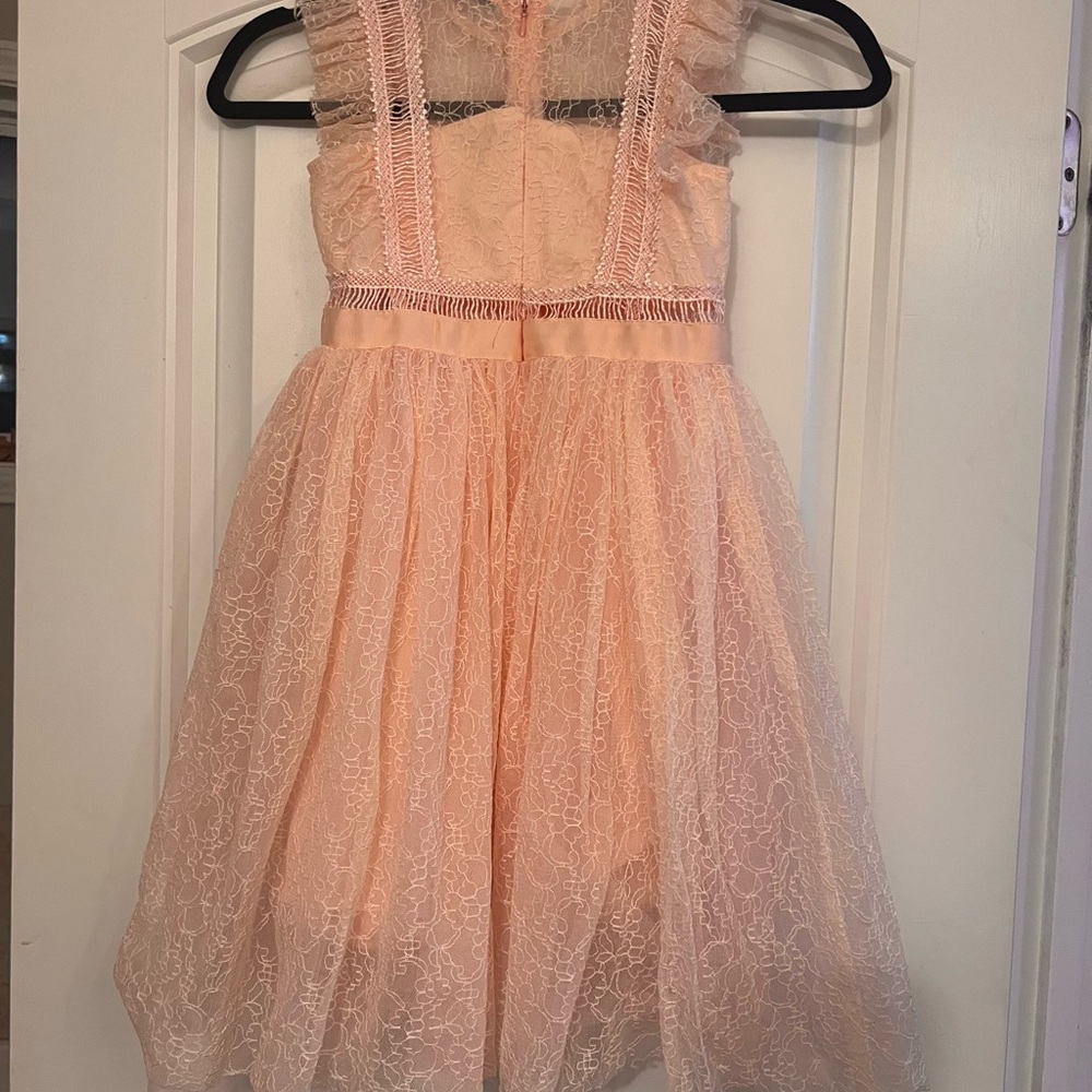 Trish Scully Clarissa Pale Peachy Pink Lace Dress with Delicate Details - Picture 6 of 7